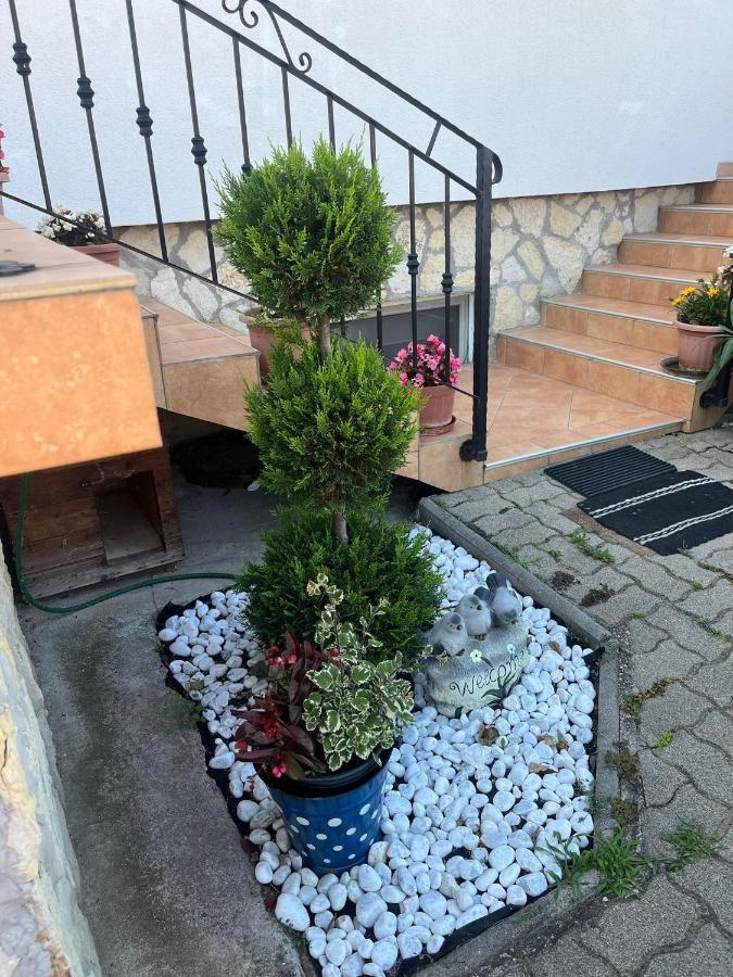 Rege Apartman Альшоерш Екстер'єр фото